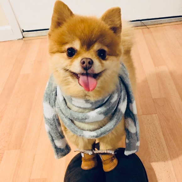 Meet your Posher, Nhu - Picture 3 of 4